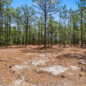 Photo #17 of 3600 Water Tower Rd., Longs, SC 4.7 acres