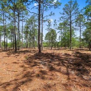 Photo #15 of 3600 Water Tower Rd., Longs, SC 4.7 acres