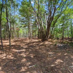 Photo #25 of 3600 Water Tower Rd., Longs, SC 4.7 acres