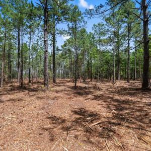 Photo #10 of 3600 Water Tower Rd., Longs, SC 4.7 acres