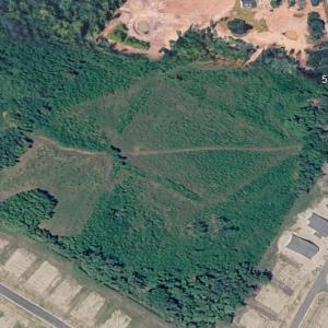 Photo #7 of 575 Hemingway Rd., Loris, SC 18.3 acres