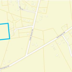 Photo #4 of TBD500 Cedar Branch Rd., Loris, SC 5.0 acres