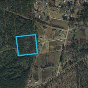 Photo #5 of TBD500 Cedar Branch Rd., Loris, SC 5.0 acres