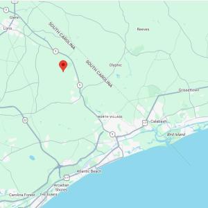 Photo #5 of TBD111 Cedar Branch Rd., Loris, SC 3.0 acres