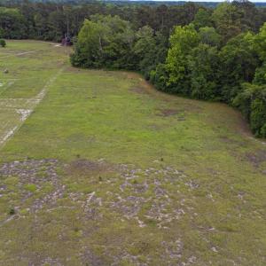 Photo #21 of TBD Gurley Rd., Loris, SC 5.4 acres