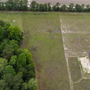Photo #13 of TBD Gurley Rd., Loris, SC 5.4 acres