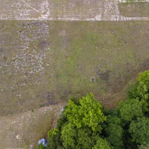 Photo #14 of TBD Gurley Rd., Loris, SC 5.4 acres