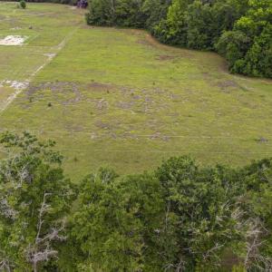 Photo #19 of TBD Gurley Rd., Loris, SC 5.4 acres