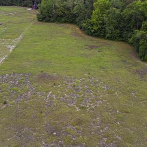 Photo #22 of TBD Gurley Rd., Loris, SC 5.4 acres