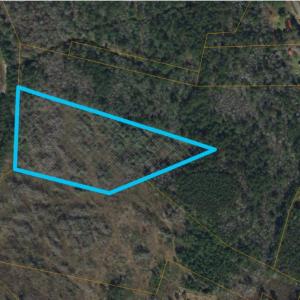 Photo #1 of TBD1000 Turkey Hollow Rd, Loris, SC 10.0 acres