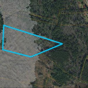 Photo #8 of TBD1000 Turkey Hollow Rd, Loris, SC 10.0 acres