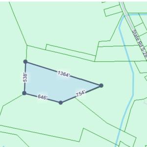 Photo #4 of TBD1000 Turkey Hollow Rd, Loris, SC 10.0 acres