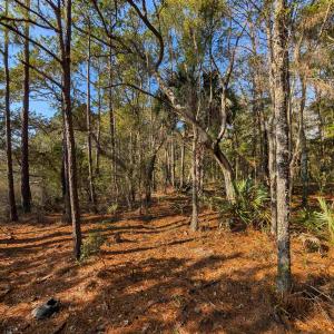 Photo #5 of 3799 Highway 17, McClellanville, SC 14.5 acres