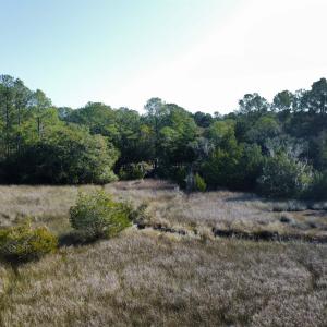 Photo #11 of 3799 Highway 17, McClellanville, SC 14.5 acres