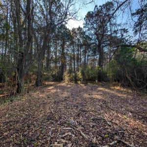 Photo #4 of 3799 Highway 17, McClellanville, SC 14.5 acres