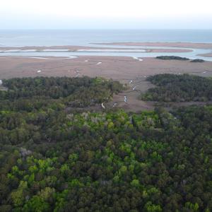 Photo #7 of 3799 Highway 17, McClellanville, SC 14.5 acres