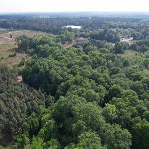 Photo #11 of TBD Aldrich St SE, Salley, SC 1.1 acres