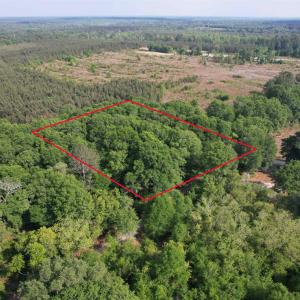 Photo #6 of TBD Aldrich St SE, Salley, SC 1.1 acres