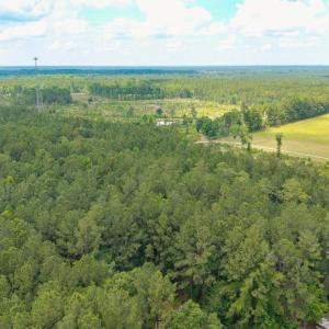 Photo #21 of 6222 Saints Delight Rd., Georgetown, SC 3.3 acres