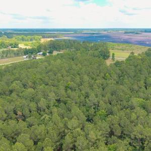 Photo #23 of 6222 Saints Delight Rd., Georgetown, SC 3.3 acres