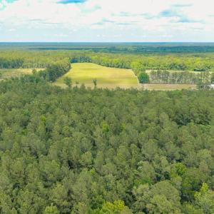 Photo #22 of 6222 Saints Delight Rd., Georgetown, SC 3.3 acres