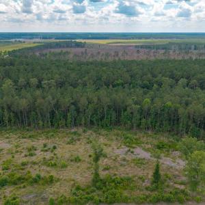 Photo #14 of 6222 Saints Delight Rd., Georgetown, SC 3.3 acres