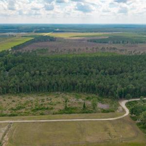 Photo #15 of 6222 Saints Delight Rd., Georgetown, SC 3.3 acres
