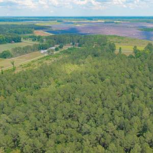 Photo #18 of 6222 Saints Delight Rd., Georgetown, SC 3.3 acres