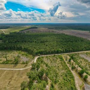 Photo #26 of 6222 Saints Delight Rd., Georgetown, SC 3.3 acres