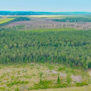 Photo #13 of 6222 Saints Delight Rd., Georgetown, SC 3.3 acres
