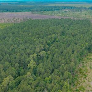 Photo #12 of 6222 Saints Delight Rd., Georgetown, SC 3.3 acres