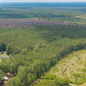 Photo #25 of 6222 Saints Delight Rd., Georgetown, SC 3.3 acres