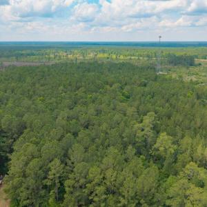 Photo #20 of 6222 Saints Delight Rd., Georgetown, SC 3.3 acres