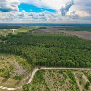 Photo #27 of 6222 Saints Delight Rd., Georgetown, SC 3.3 acres
