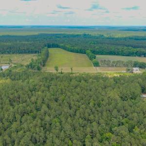 Photo #19 of 6222 Saints Delight Rd., Georgetown, SC 3.3 acres
