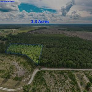 Photo #4 of 6222 Saints Delight Rd., Georgetown, SC 3.3 acres