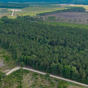 Photo #16 of 6222 Saints Delight Rd., Georgetown, SC 3.3 acres