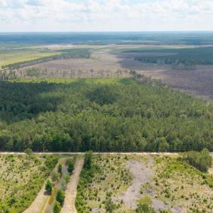 Photo #7 of 6222 Saints Delight Rd., Georgetown, SC 5.8 acres