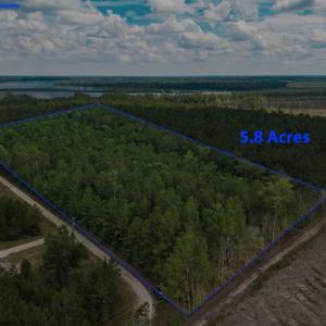 Photo #5 of 6222 Saints Delight Rd., Georgetown, SC 5.8 acres