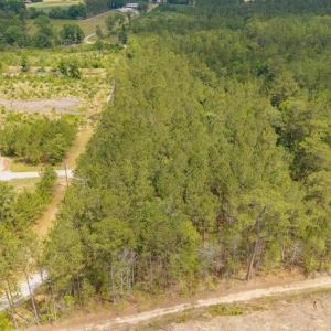 Photo #28 of 6222 Saints Delight Rd., Georgetown, SC 5.8 acres