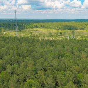 Photo #26 of 6222 Saints Delight Rd., Georgetown, SC 5.8 acres