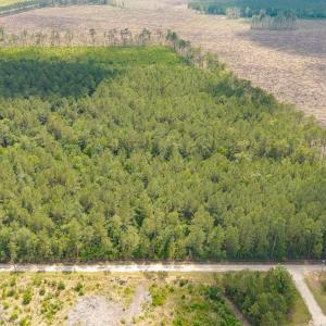 Photo #6 of 6222 Saints Delight Rd., Georgetown, SC 5.8 acres