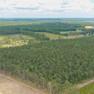 Photo #15 of 6222 Saints Delight Rd., Georgetown, SC 5.8 acres