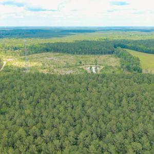Photo #14 of 6222 Saints Delight Rd., Georgetown, SC 5.8 acres