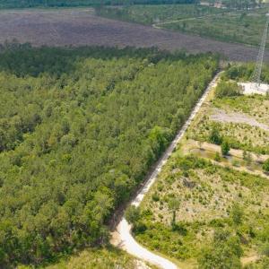 Photo #10 of 6222 Saints Delight Rd., Georgetown, SC 5.8 acres