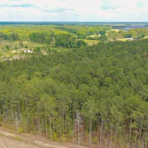 Photo #27 of 6222 Saints Delight Rd., Georgetown, SC 5.8 acres
