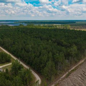 Photo #19 of 6222 Saints Delight Rd., Georgetown, SC 5.8 acres