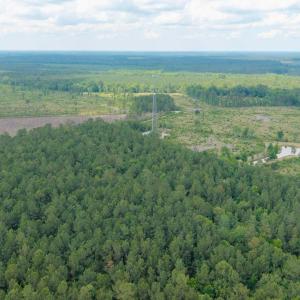 Photo #13 of 6222 Saints Delight Rd., Georgetown, SC 5.8 acres