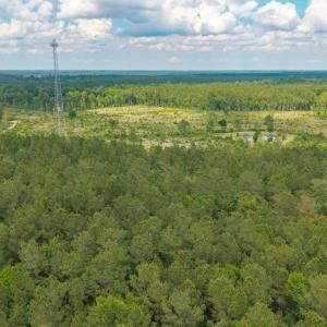 Photo #25 of 6222 Saints Delight Rd., Georgetown, SC 5.8 acres