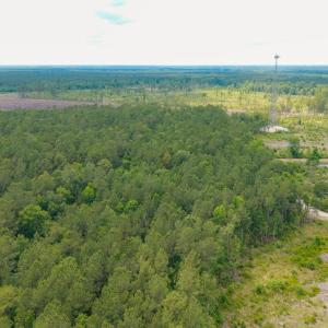 Photo #22 of 6222 Saints Delight Rd., Georgetown, SC 5.8 acres